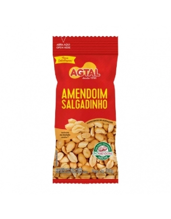 CASTANHA DE CAJU SALGADA AGTAL 40X100G