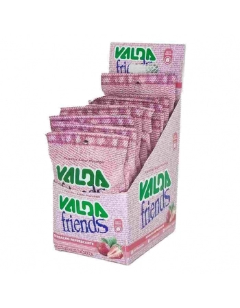 VALDA FRIENDS MORANGO SACHE 25G C/10 DP